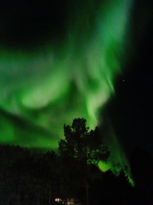 Koselig Og Moderne Leilighet, Meget Sentralt I Narvik Med Gratis Parkering! Exterior foto