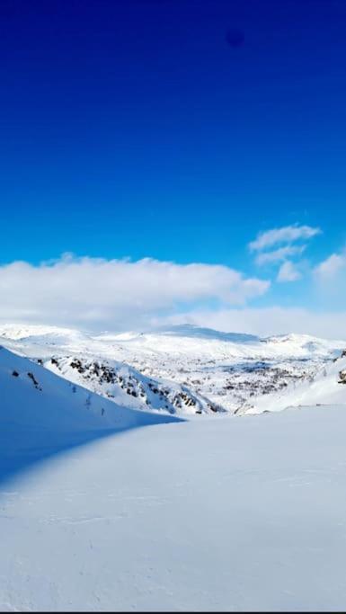 Koselig Og Moderne Leilighet, Meget Sentralt I Narvik Med Gratis Parkering! Exterior foto